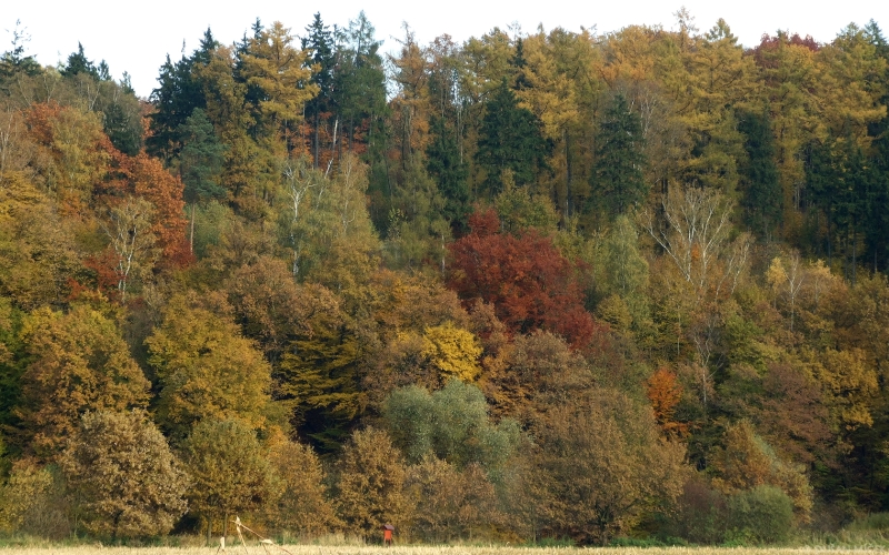 Podzimní Bobrovníky